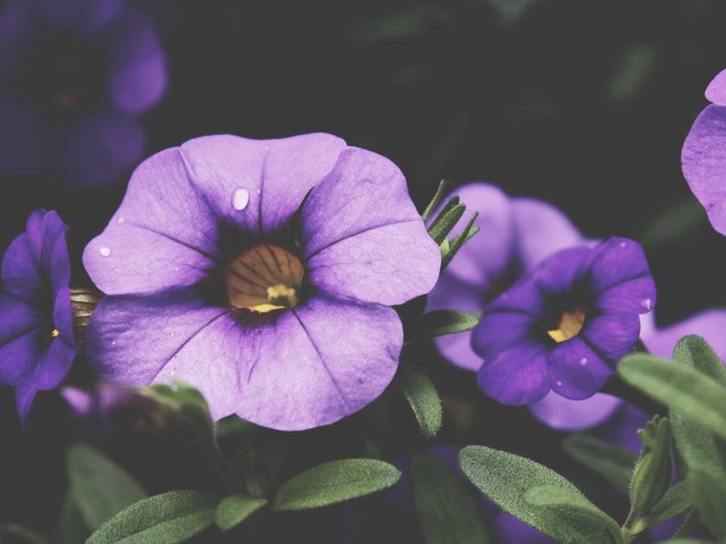 contact screenshot 3